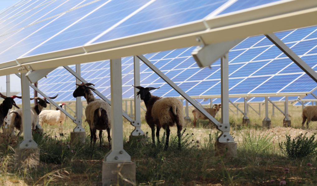 一场光伏探索之旅