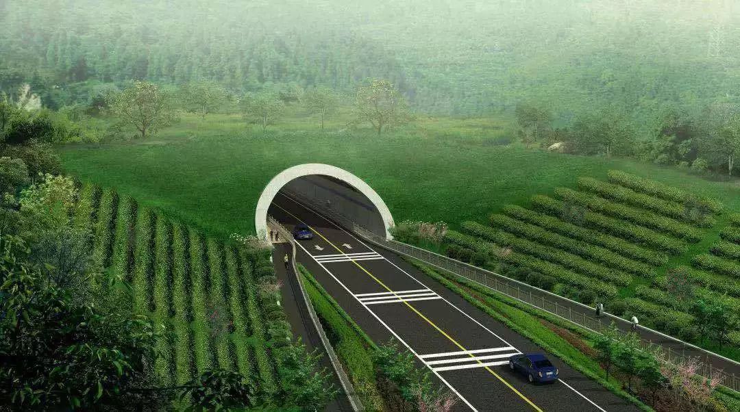 宜兴人一条会发光的神仙隧道将在宜南山区出现
