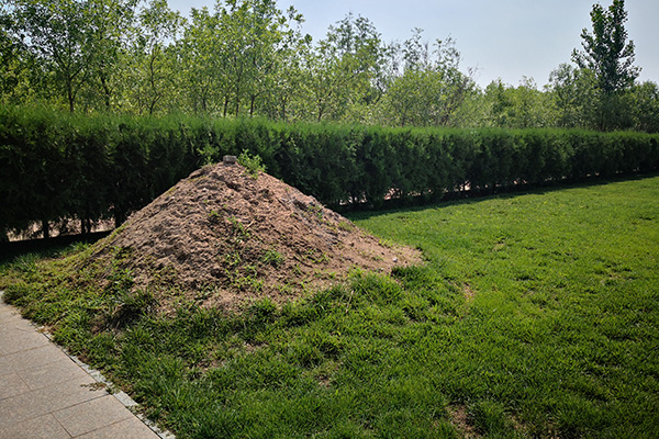 土葬好还是火葬好,大爷的一席话,让专家汗颜