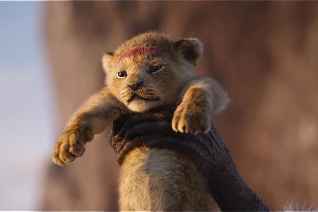 真人版狮子王讲述辛巴成长为肩负责任和荣耀的狮子王的故事