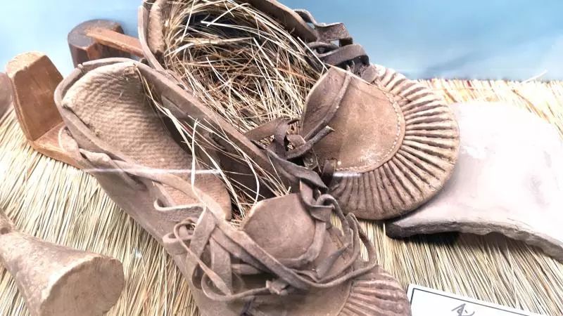 乌拉草成为吉林新名片的多种可能!