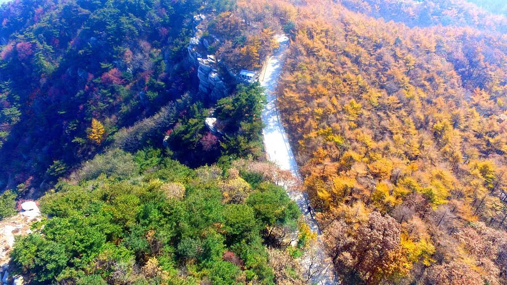 地點:濟寧市曲阜市尼山鎮黃土村