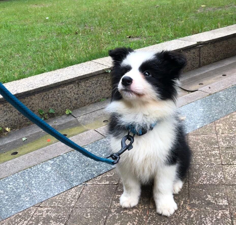 ˴ıȮΪʲôܹΪȮԭȻôЦ
