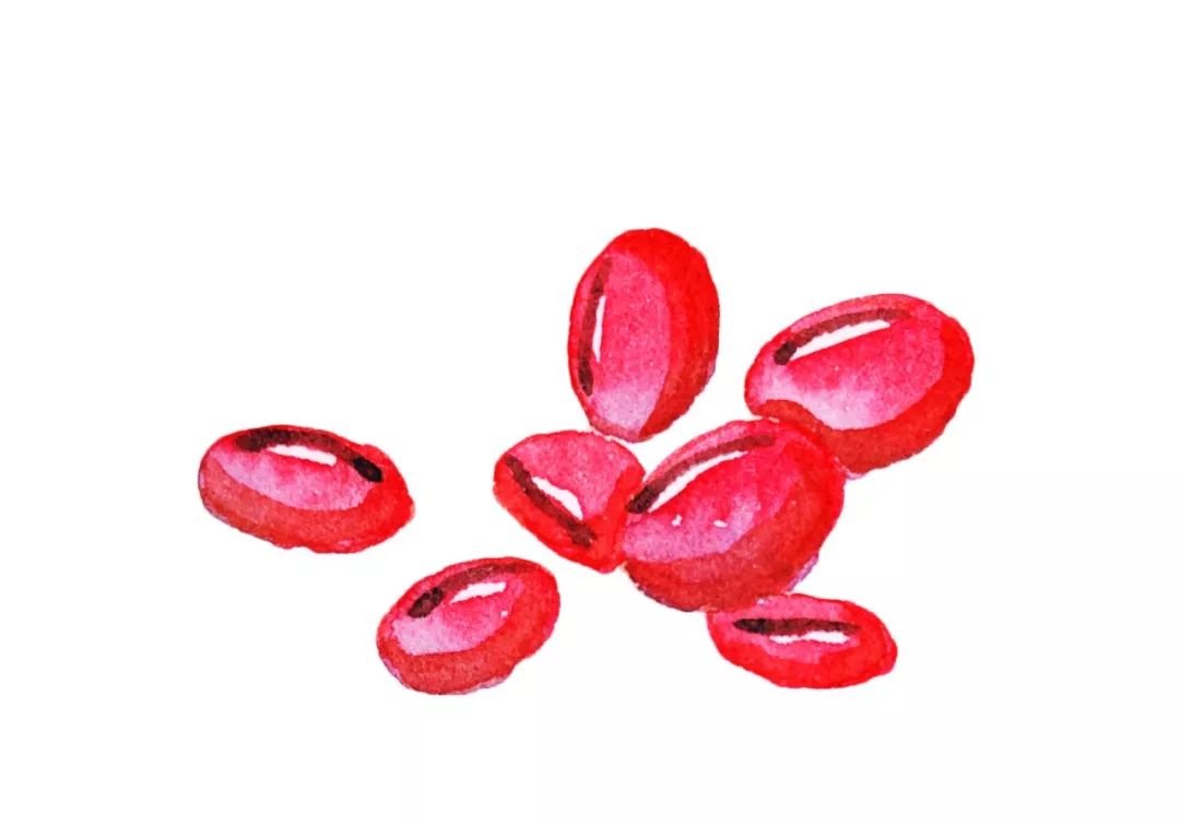 每天2颗它,轻松祛除全年湿气,比拔火罐还有效!_红豆