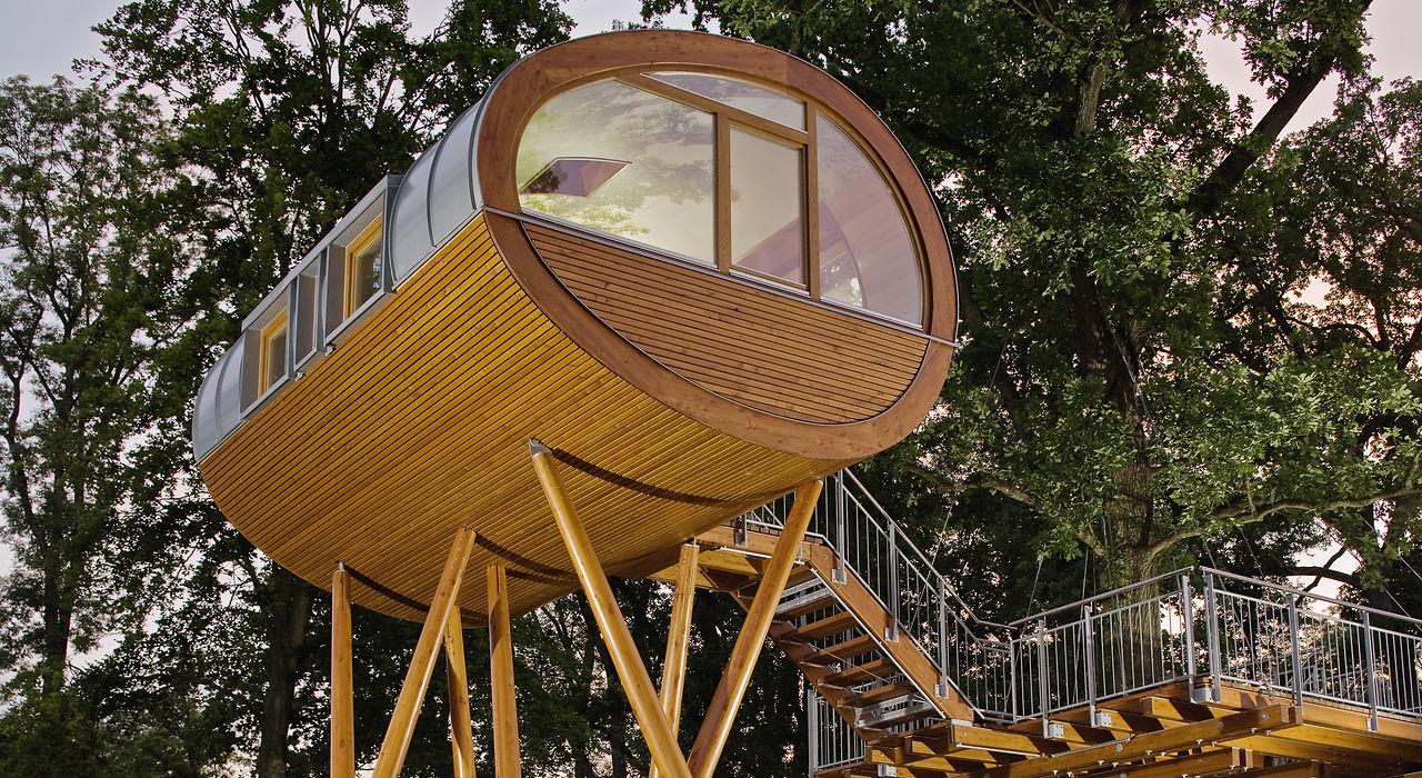 被巴菲特看好的莱茵阳光树屋酒店