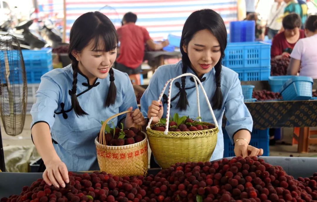 怎样的仙居杨梅才是最好吃的小编教你挑