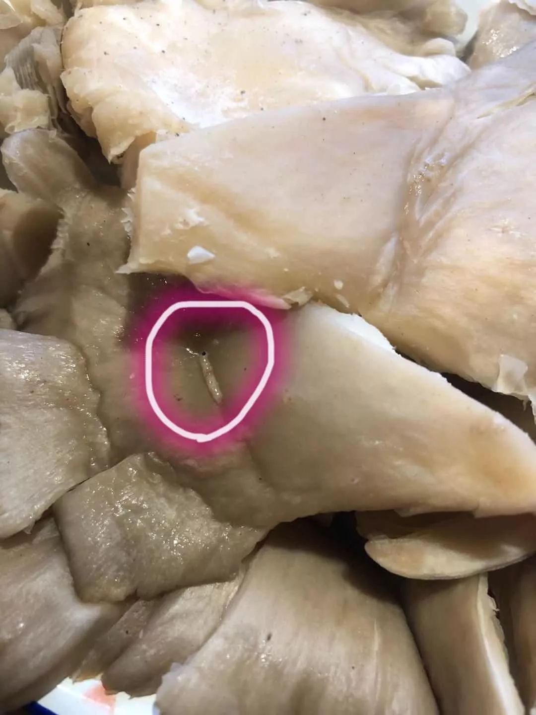 汉中一火锅店,菜品里发现活蛆!