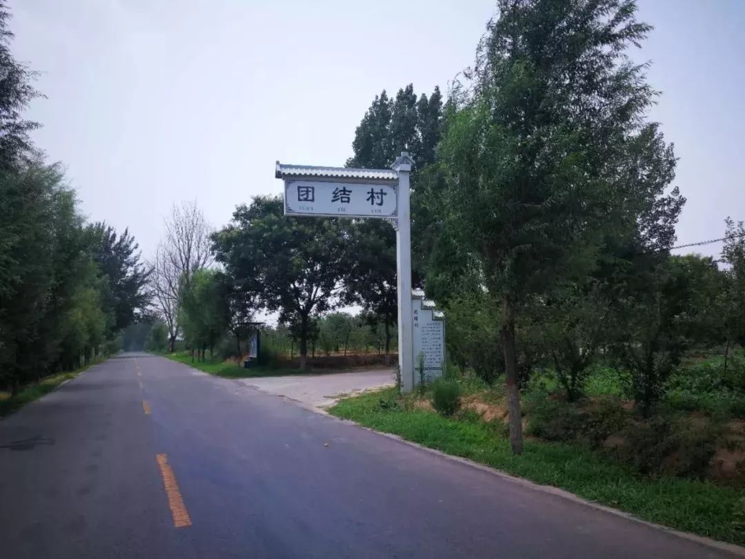 【第一书记】扎根基层强班子 真抓实干拔穷根——记冯原镇团结村第一