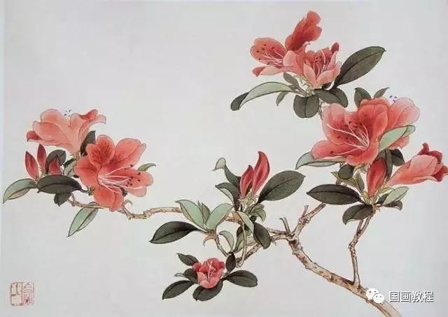 国画工笔用笔方法临摹花卉素材画谱40幅