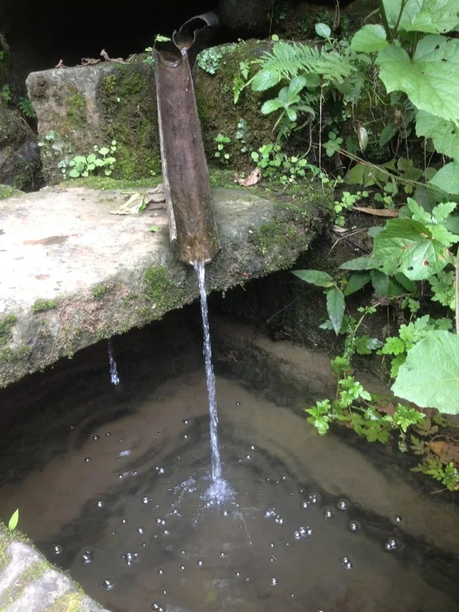 擴散樂山人別再去這裡接山泉水喝了真相令人頭皮發麻