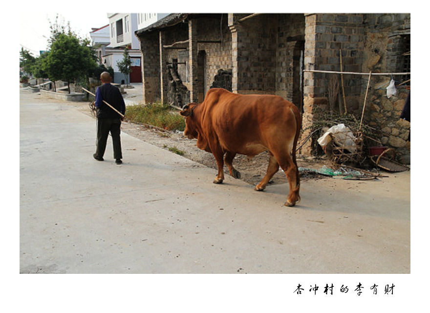 图虫人文摄影:杏冲村的李有财