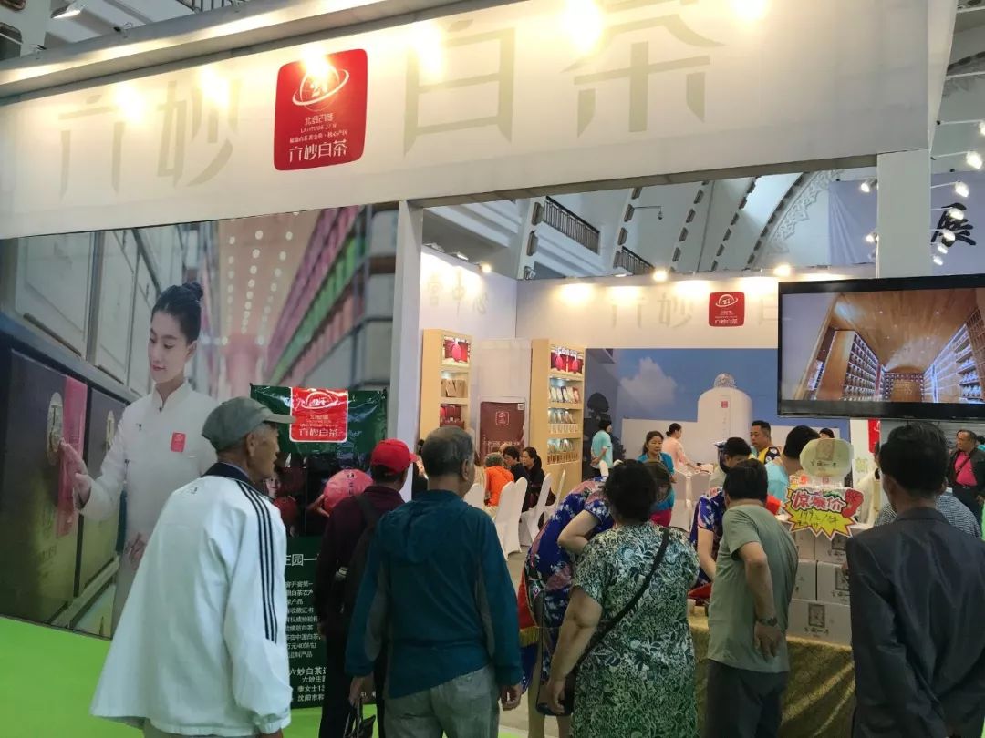 白茶喝六妙生活更美妙