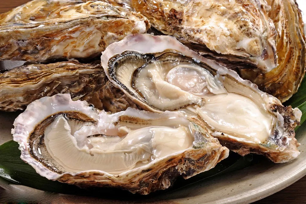 博士生蚝夏天来威海乳山开启你的蚝门盛宴乳山牡蛎