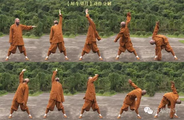 莲花生动功激活人体能量彻底改变精神面貌视频