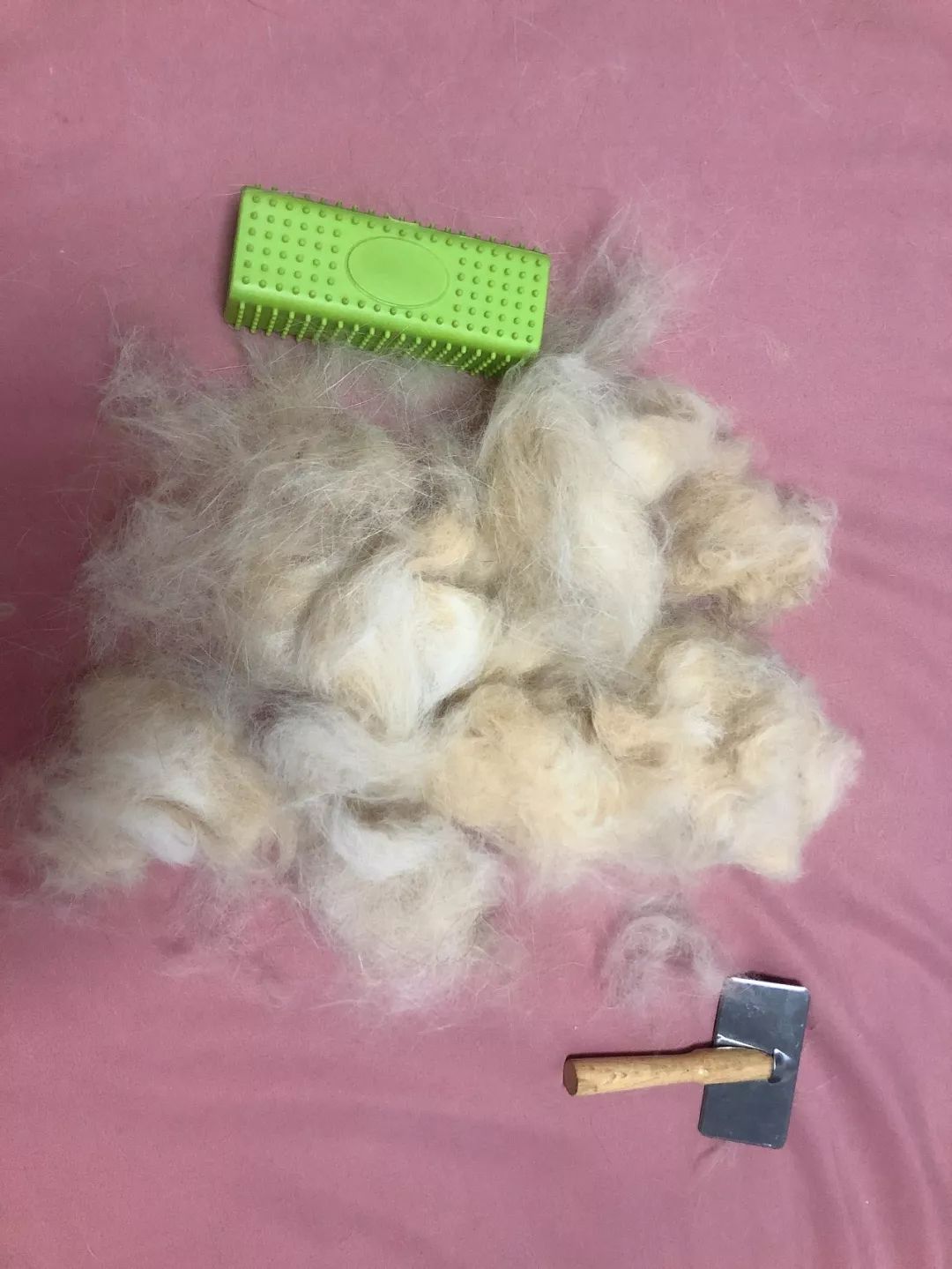 猫毛大作战帮助主子顺利皮草换夏装