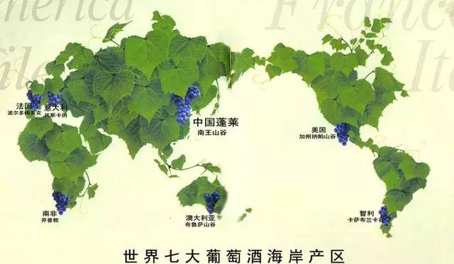 长城海岸葡萄酒测评温润柔雅品出海岸的味道