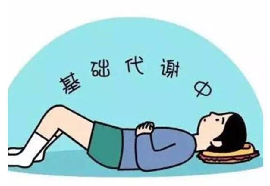 基础代谢率减肥毫不费力就能瘦