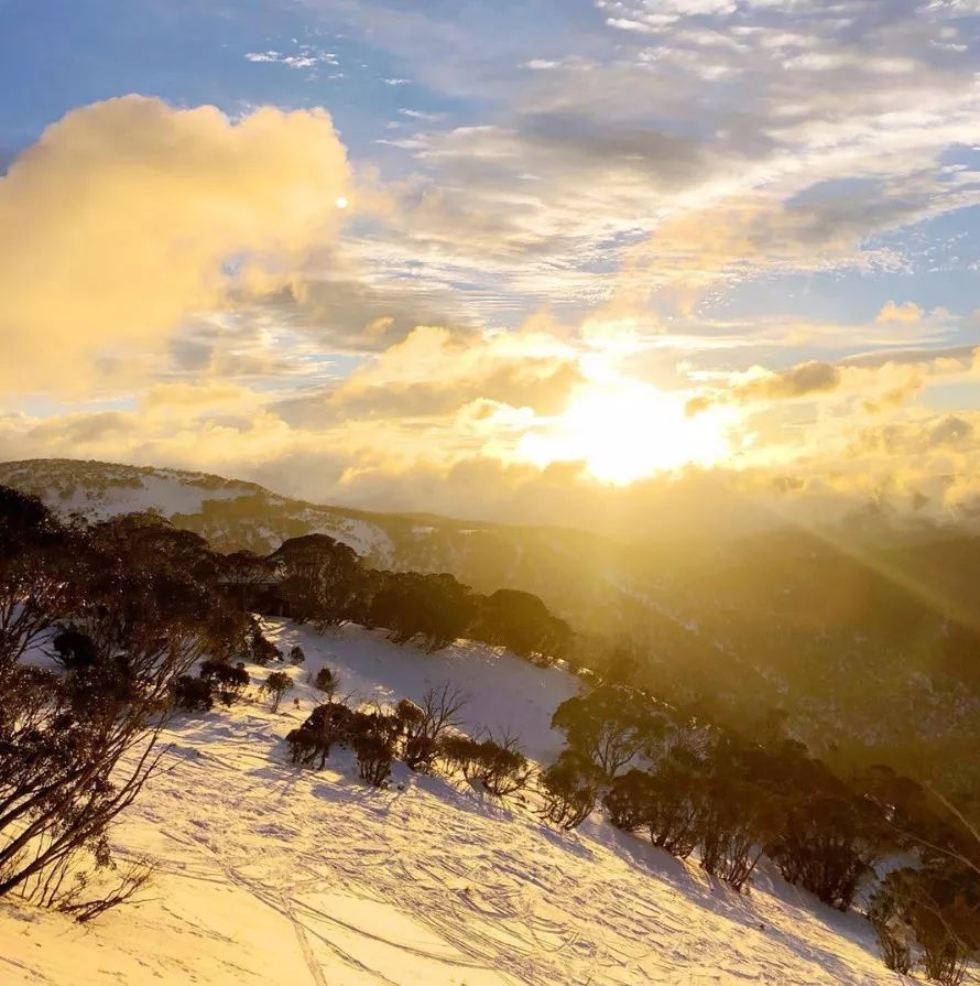 墨尔本top 5雪山pk全攻略,交通 费用 住宿_ins