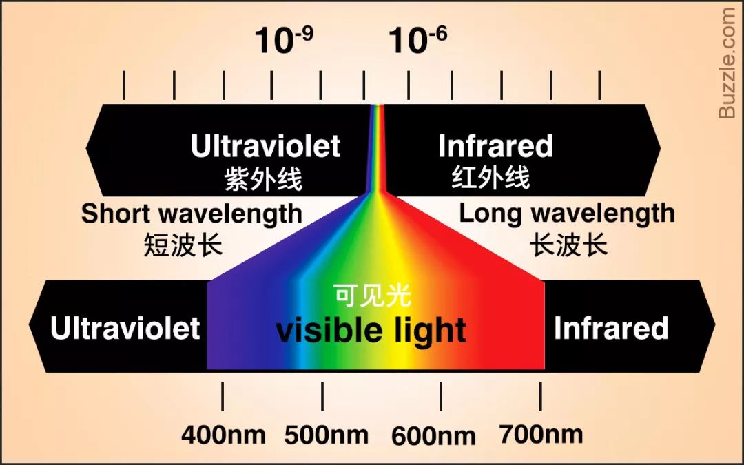 有两种途径. 色素是一种能够选择性吸收特定光线的化学物质.
