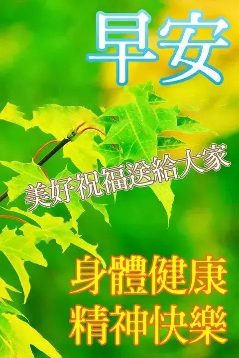 清晨最新早上好問候語動圖早上好圖片動態帶字和鮮花