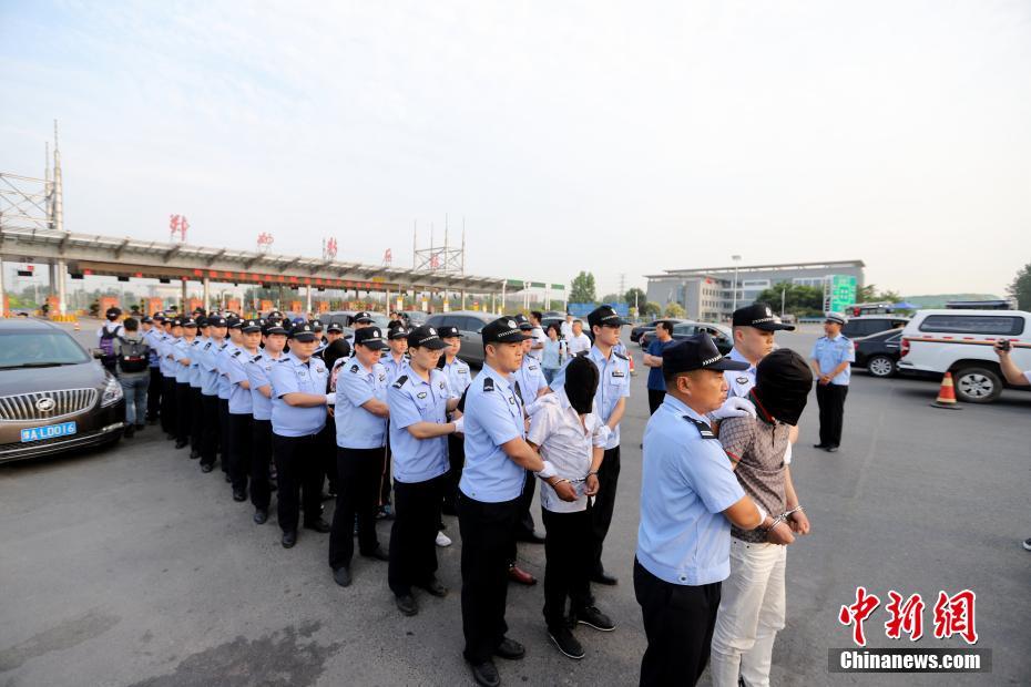 河南特大传销案图片图片