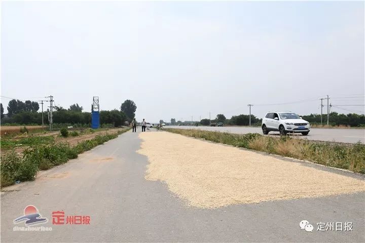 除此之外,记者在唐河收费站以南,国际食品城,唐城村入口附近均发现有