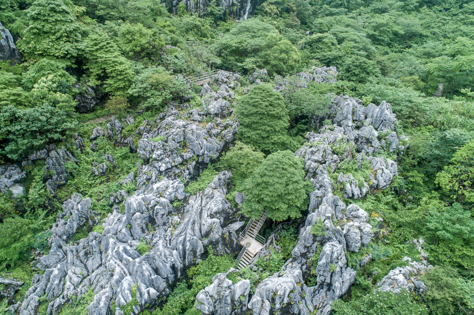 常山三衢石林图片