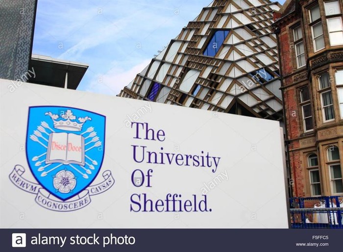 jewell教授说:"谢菲尔德大学最近被评为英国排名第一的工程研究收入和