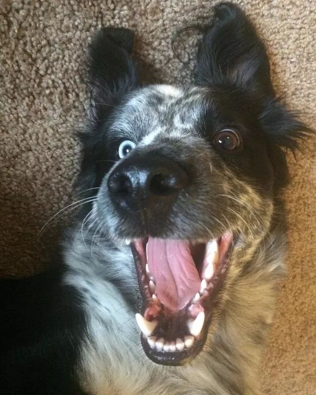 抑制不住的那种!