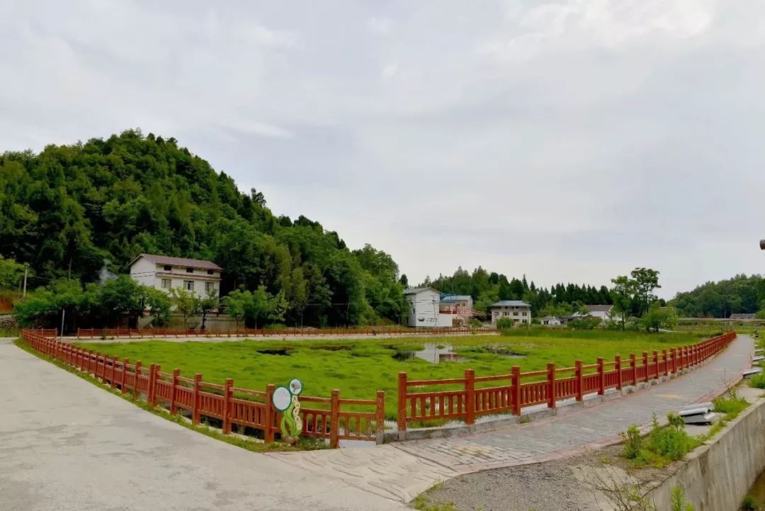 羊木镇水草坪——生态康养好去处