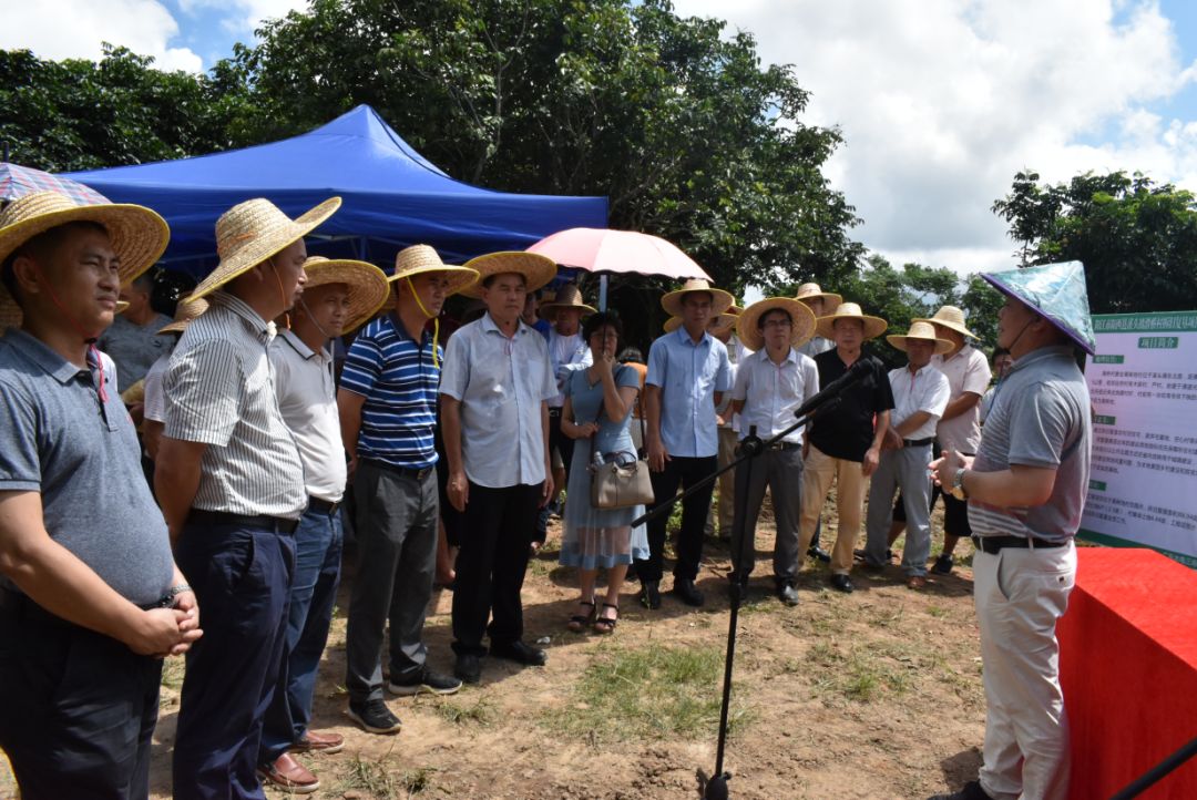 溪头镇委副书记,镇长王明龙主持召开现场会溪头镇镇委书记黄科瑾介绍