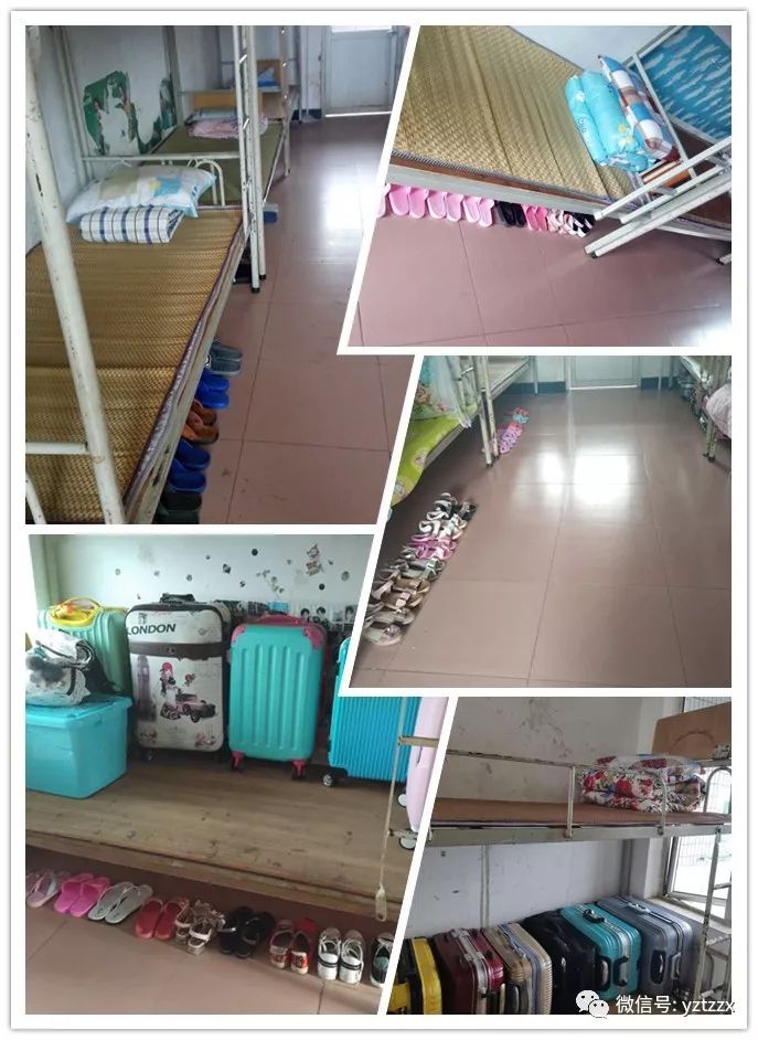 永州陶铸中学初中部2019年下期初一招生简章