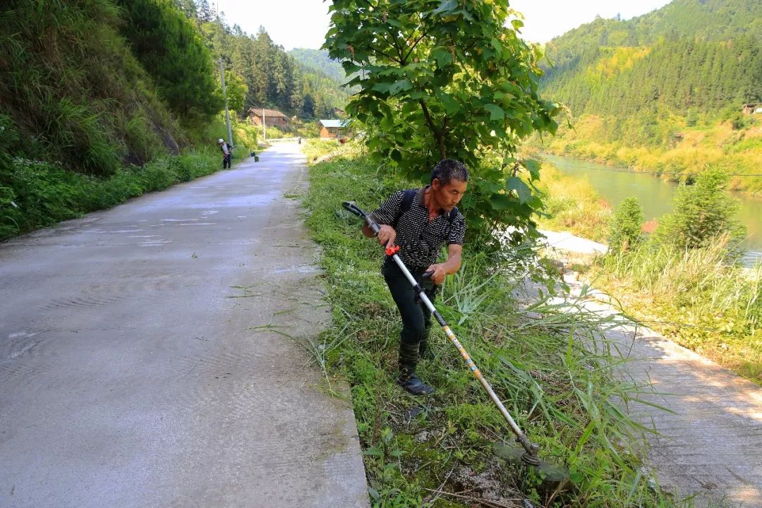 两汪岑熬村民义务护路树文明风尚