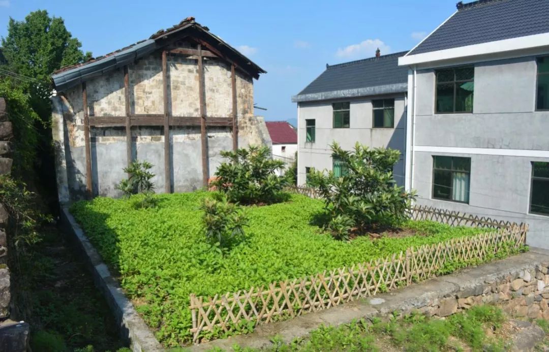 村庄越来越美丽三化整治催生美丽经济发展新能量