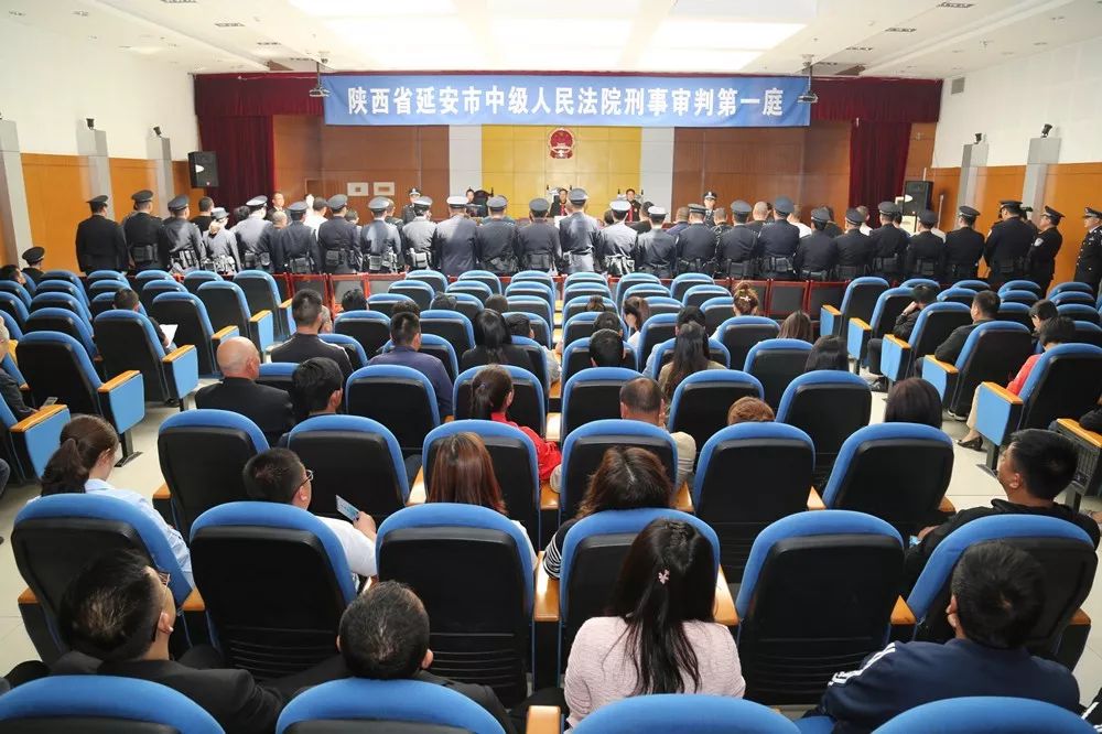 闫宏伟等24人黑社会性质组织犯罪案1发布会上通报的十起涉黑涉恶典型