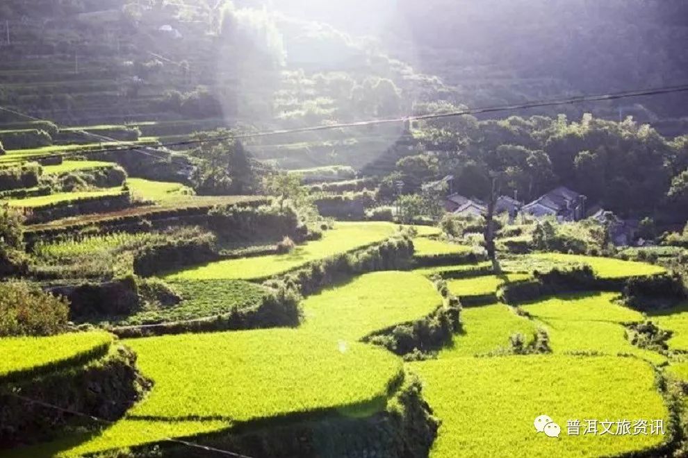 一天一点普洱(1437)宁洱记忆|勐先大河 儿时一起光屁股洗澡的记忆