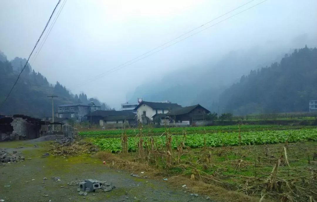 陳氏家族世世代代都居住在咸豐縣唐崖鎮(原名:尖山鄉)小水坪村(民眾