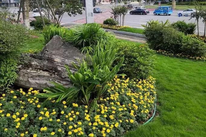 大足区园林所引进新材料,提升绿化造景效果