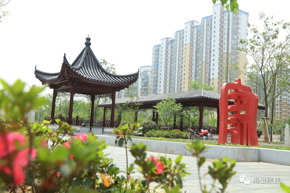 绿色心脏梅村新增多个小游园