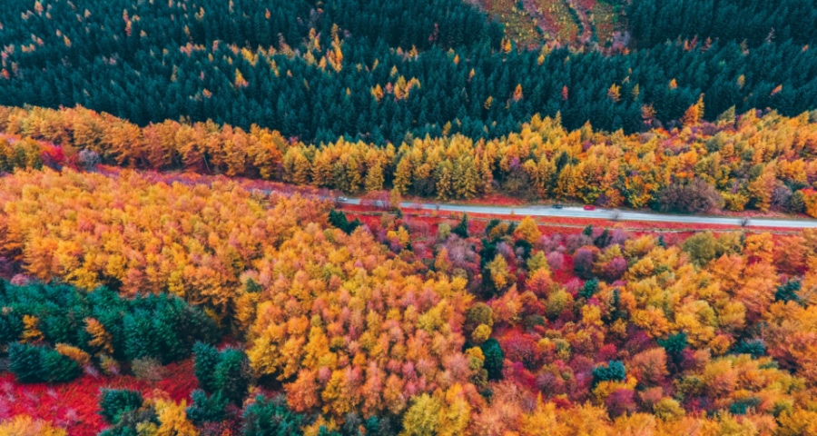 本土企业阻击市场困局的拐点出现了，家电品牌消费观巨变！-家电圈官网