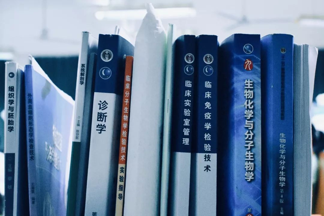 06上口爱草莓雪糕推荐指数:★★★蓝皮书的cp——护理人的粉皮书一定