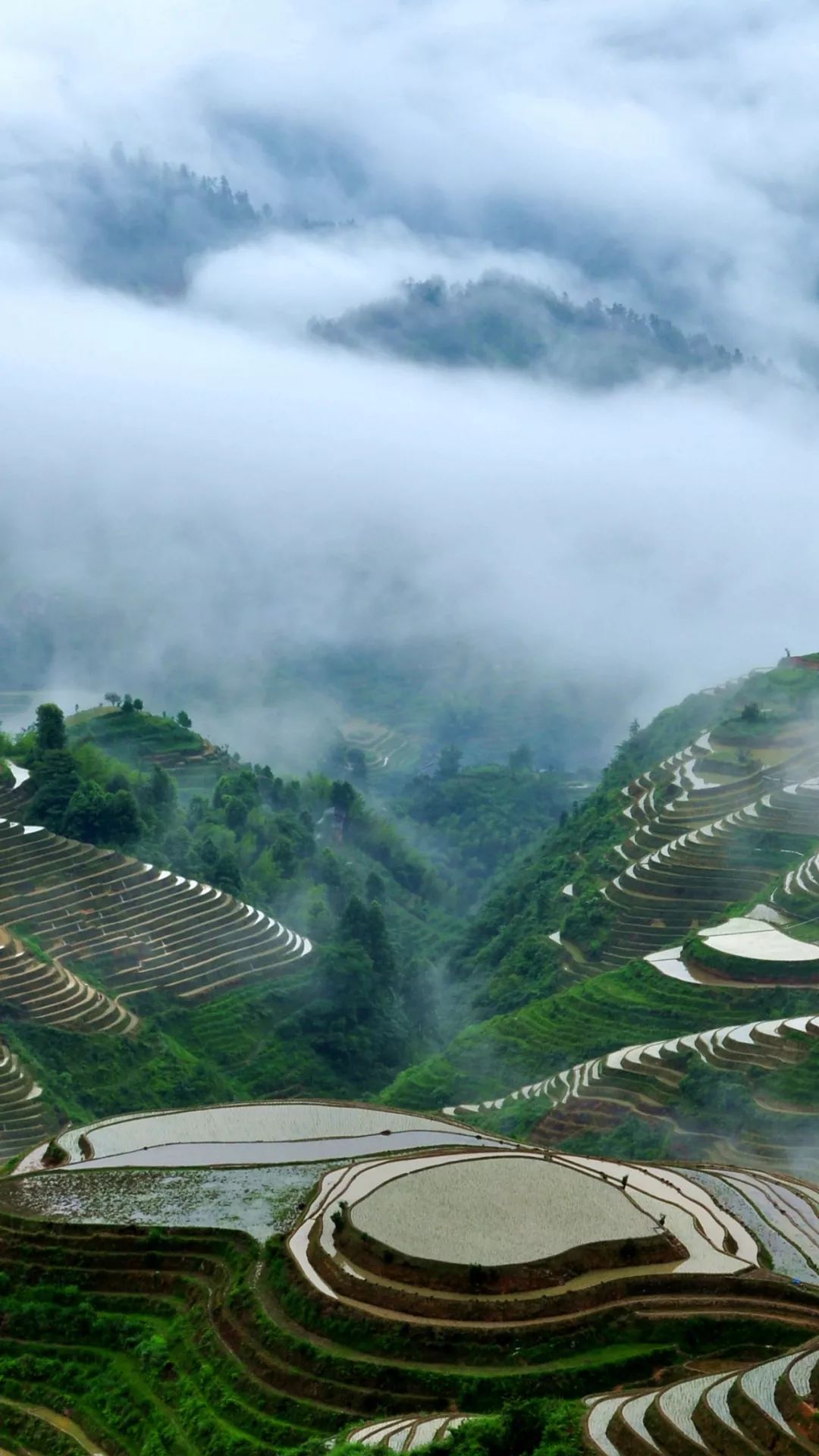 神仙美景龙脊梯田进入最佳最佳观赏期开启手机屏保模式