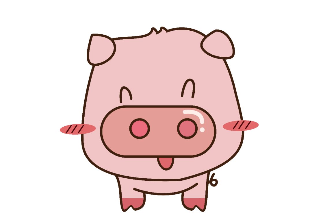 【所长分享】猪年说小花猪