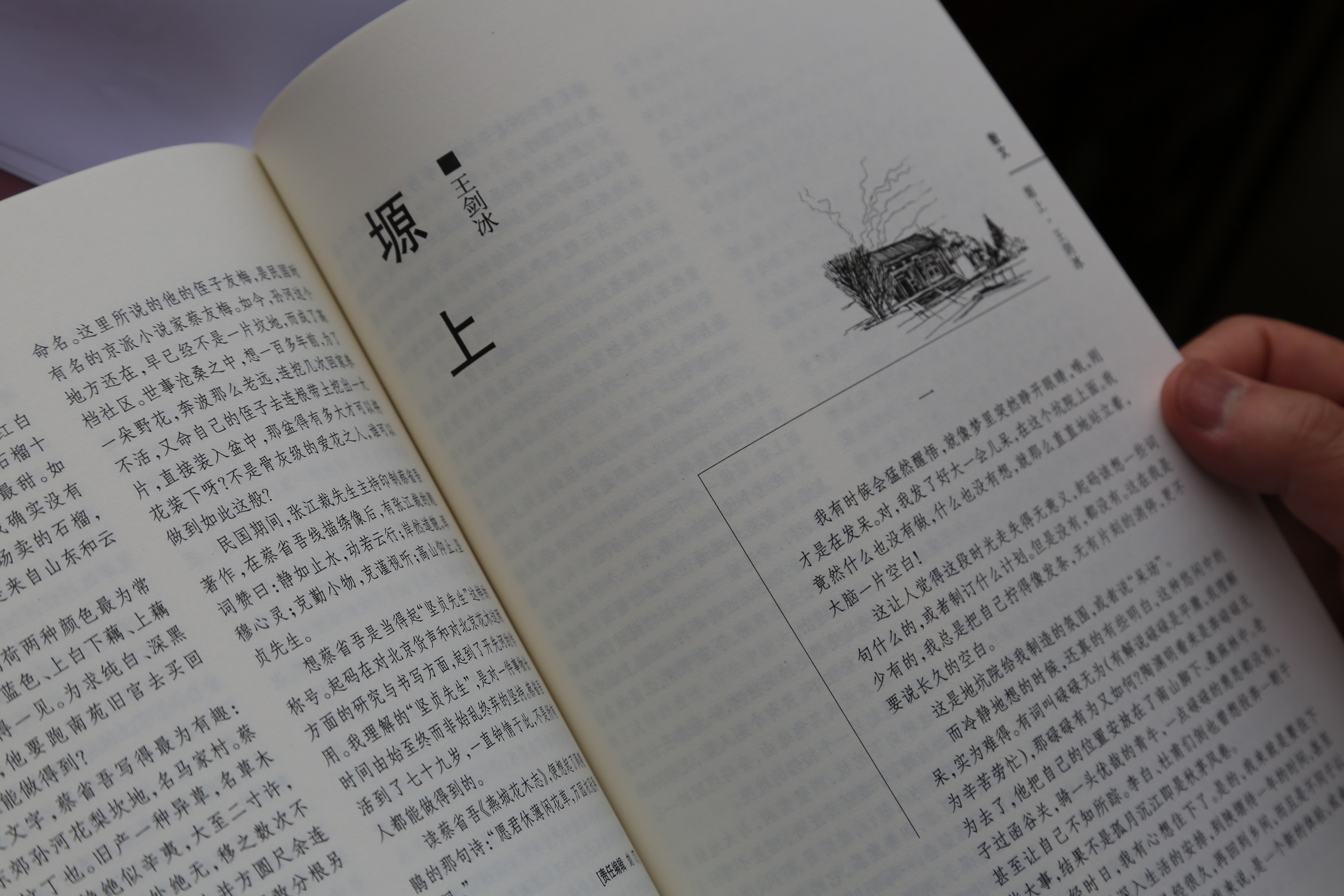 王剑冰《塬上》研讨会在陕州地坑院举行