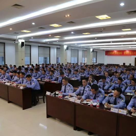 推广"星城园丁"让群众受益,这个大队的做法亮点多多!