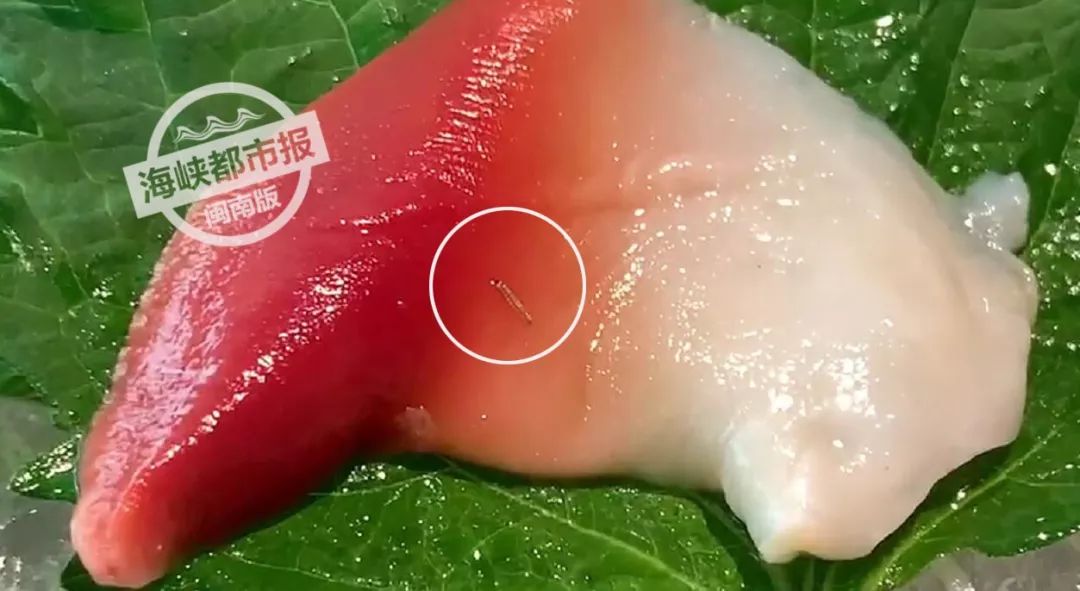泉州万达"匠"料理,刺身吃一半,惊现一只活虫!