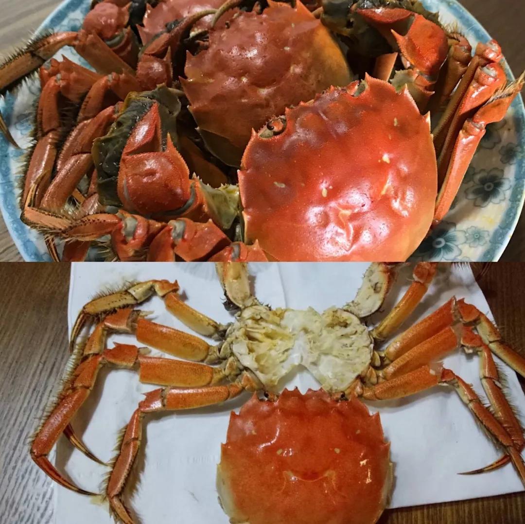 图/毛毛爸的炸春卷,豆沙馅的 然后他吃完的螃蟹能完整的拼回去,大概是