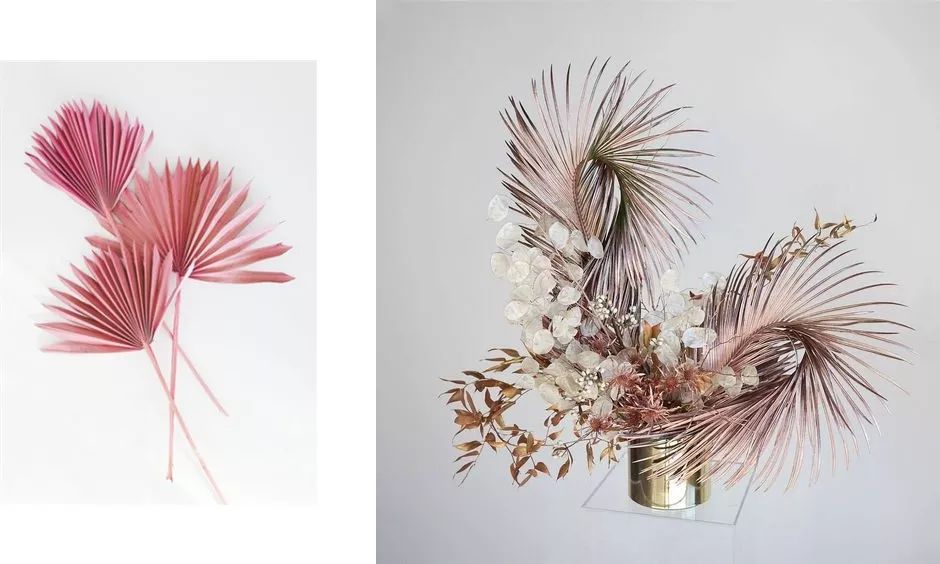 或者剪成各种形状,施展天马行空的想象力.