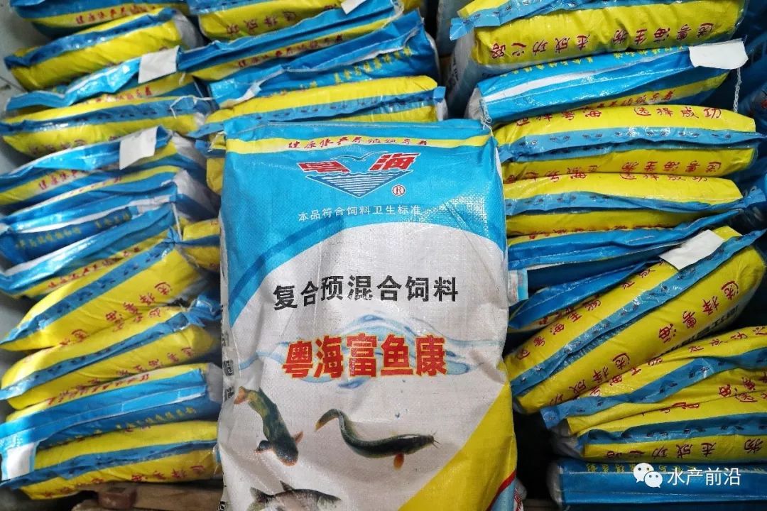 黄文全已经形成定期使用粤海富鱼康的习惯13个月即可上市传统的黄鳍鲷