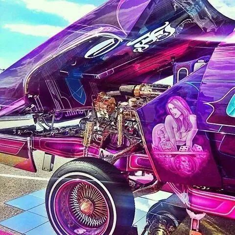 什么叫奇卡诺chicano你来给我翻译翻译